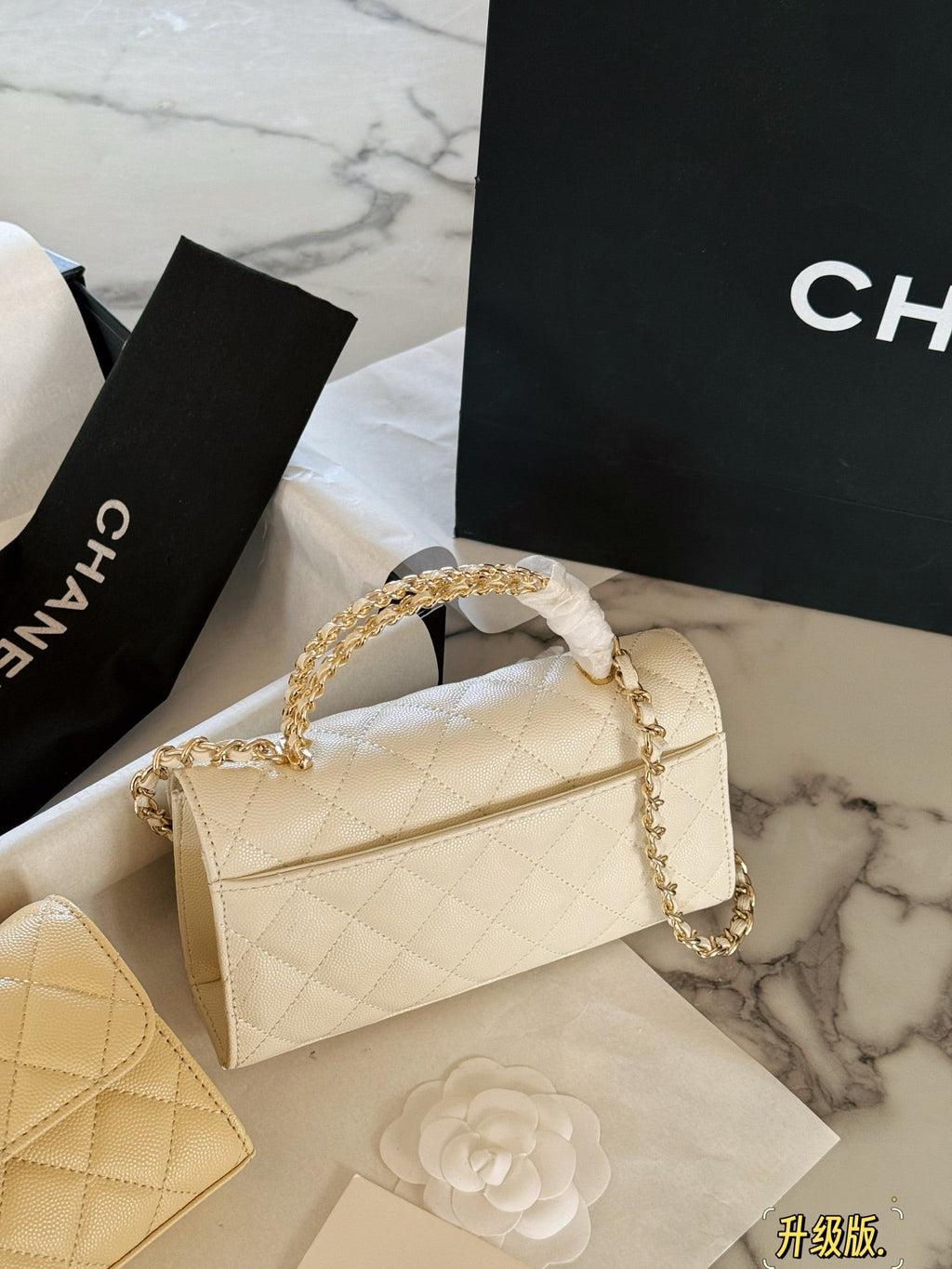 Fashion Bag for Women CEM142