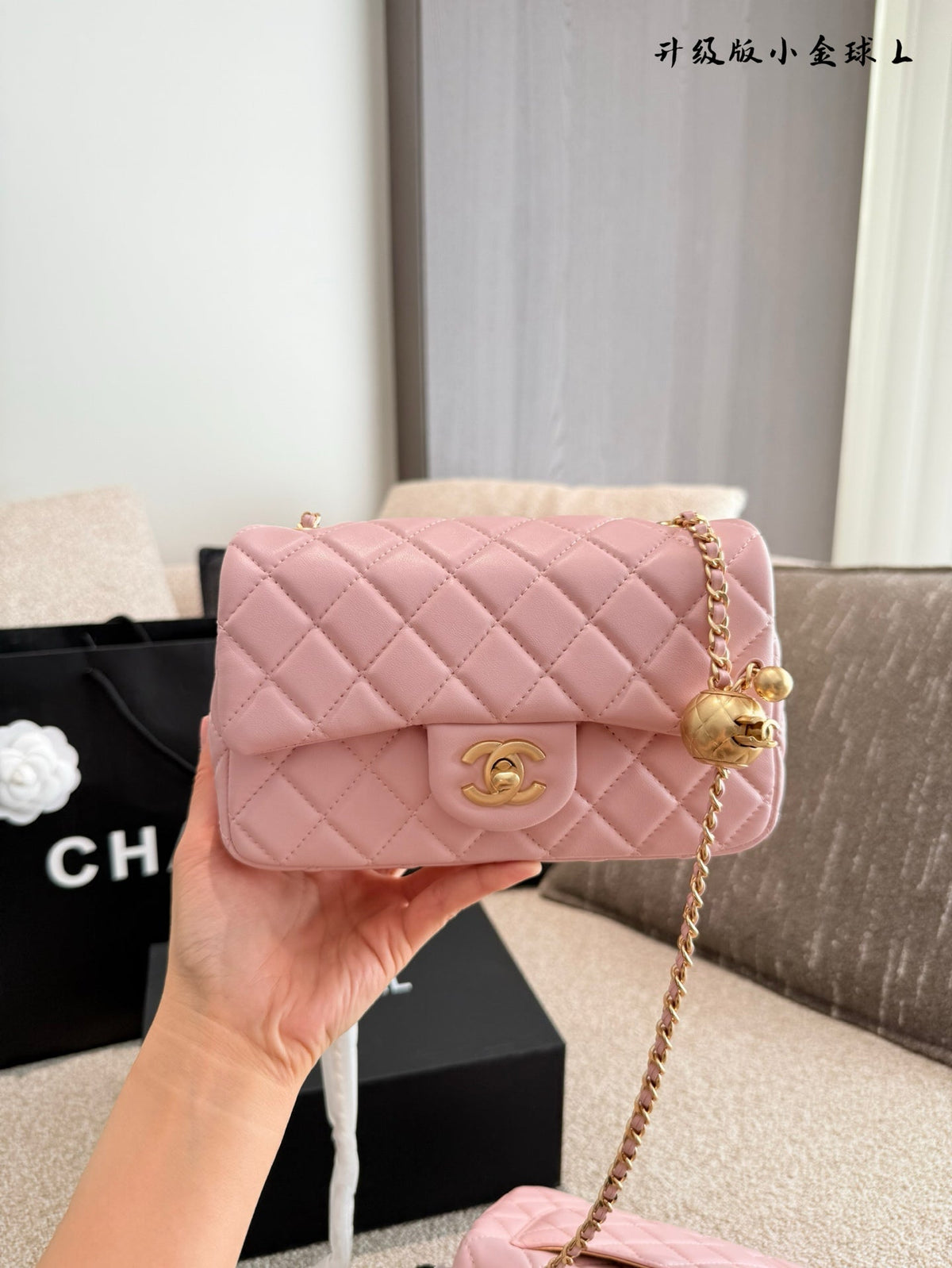 Designer Gold Leather Shoulder Bag for Women 17cm CEM243