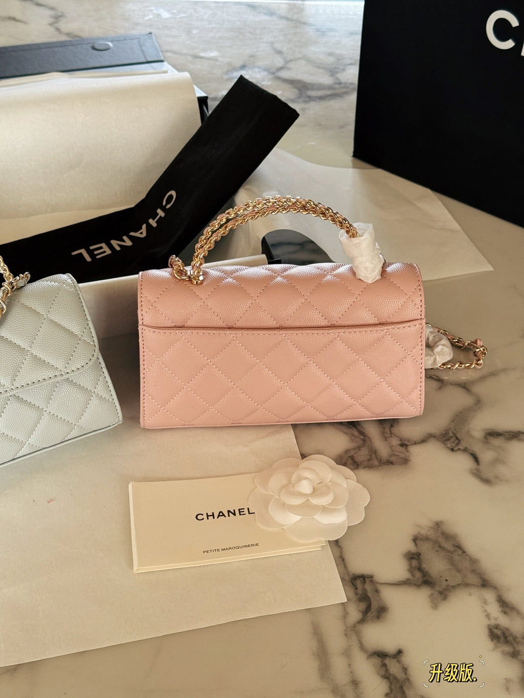 Fashion Bag for Women CEM142