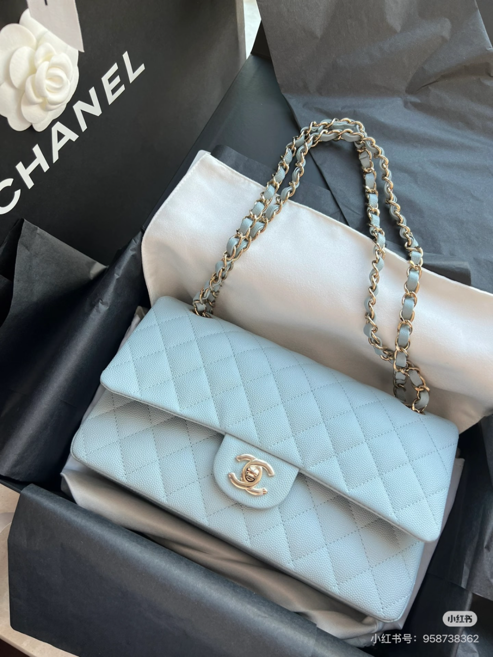 Blue Bag for Women CEM301