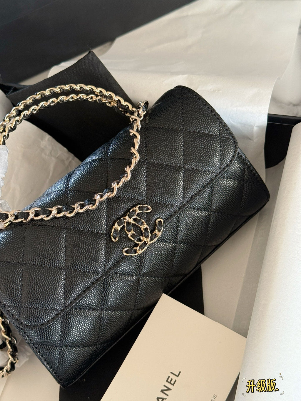 Fashion Bag for Women CEM141