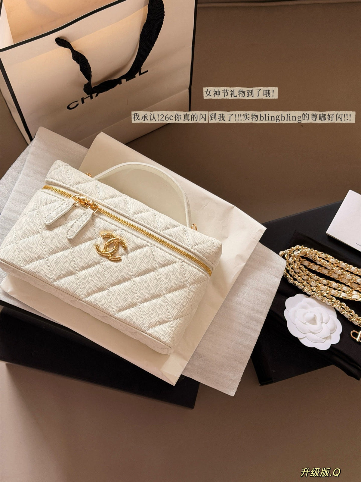 Designer Black/White Handbag for Women 20*12cm CEM245