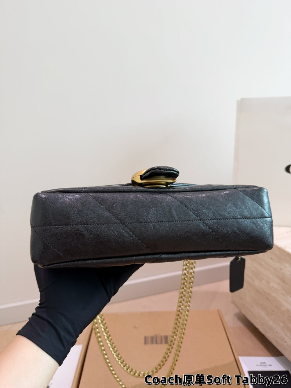 Black/Brown Handbag for Women 26*15cm COEM05