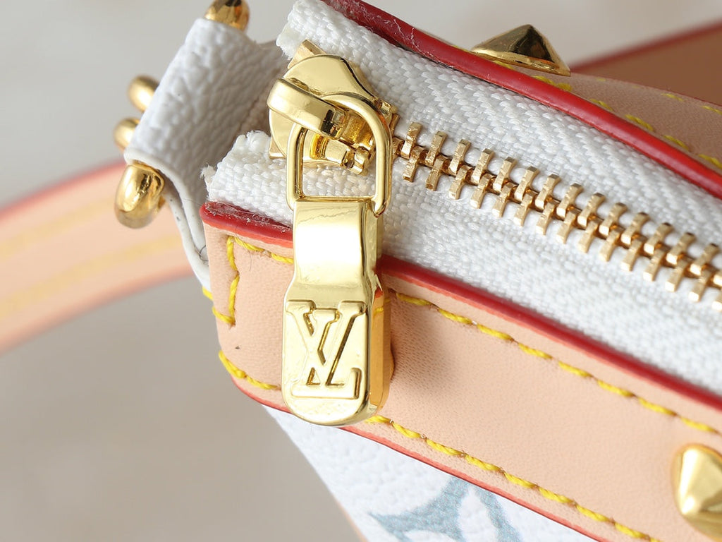 Designer Clash Color Crossbody Bag for Women 22.0x13.0x4.0cm LEM248