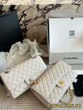 Gold/Silver Bag for Women 25*16cm CEM317