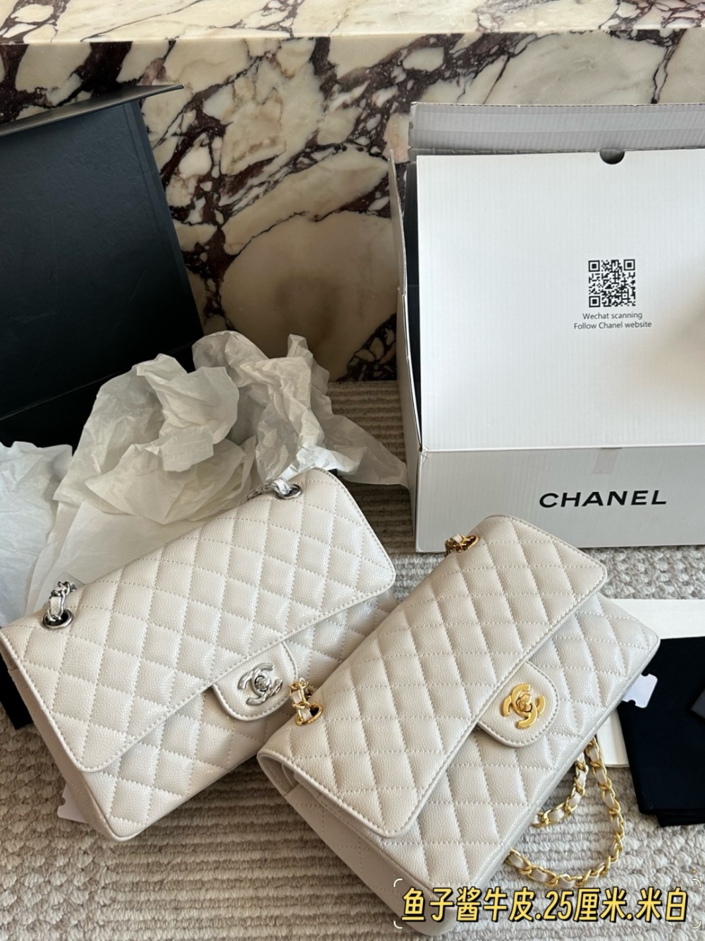 Gold/Silver Bag for Women 25*16cm CEM317