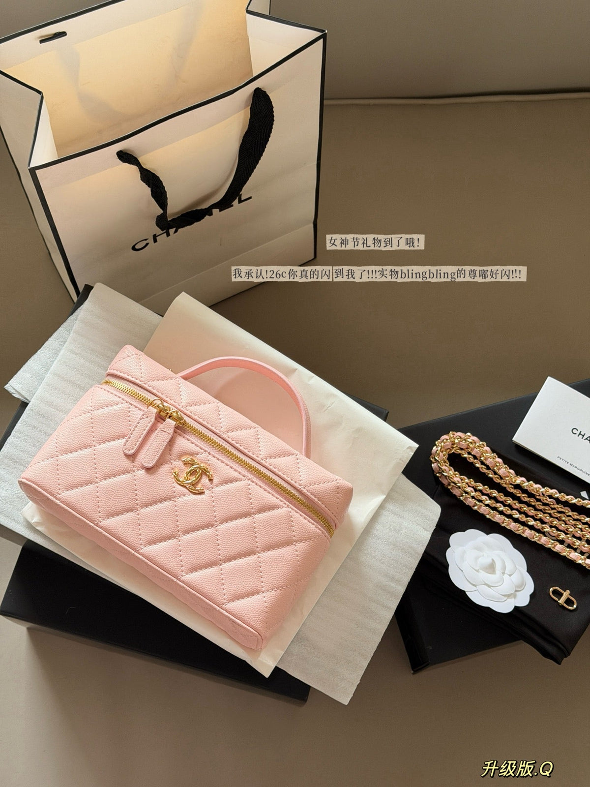 Designer Black/White Handbag for Women 20*12cm CEM245