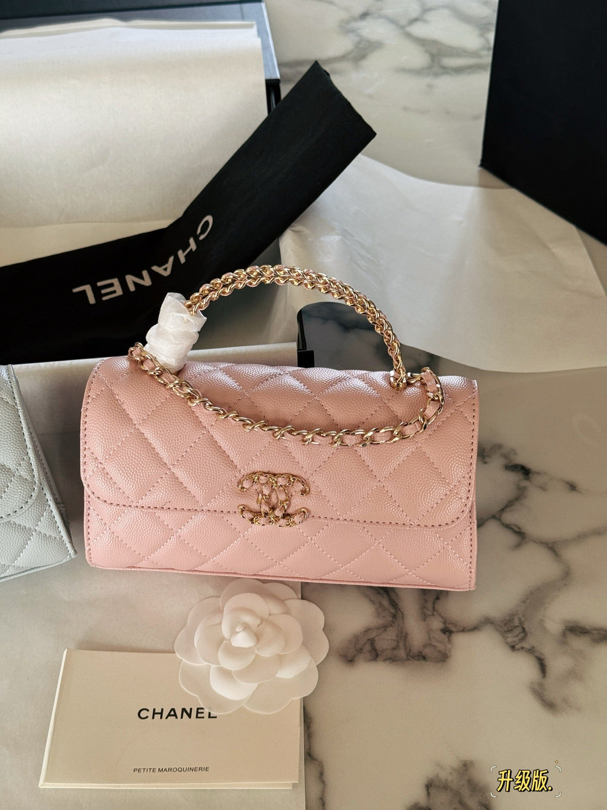 Fashion Bag for Women CEM142