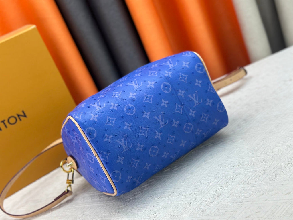 Designer Canvas Crossbody Bag for Women 30x21x17cm LEM289