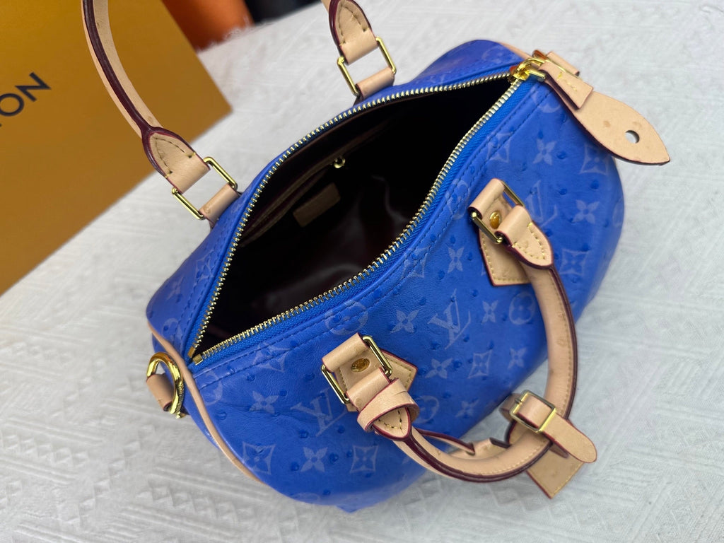 Designer Canvas Crossbody Bag for Women 30x21x17cm LEM289