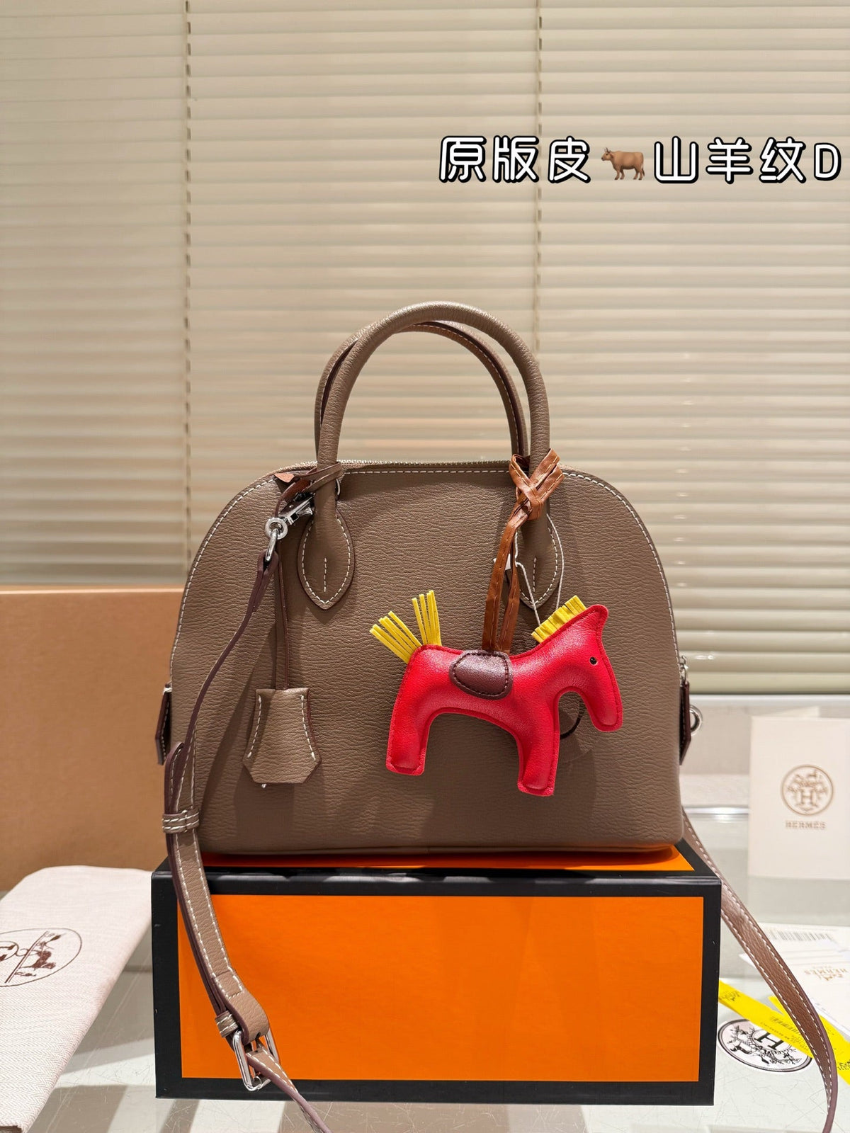 Designer Clash Color Crossbody Bag for Women 19cm HEM65