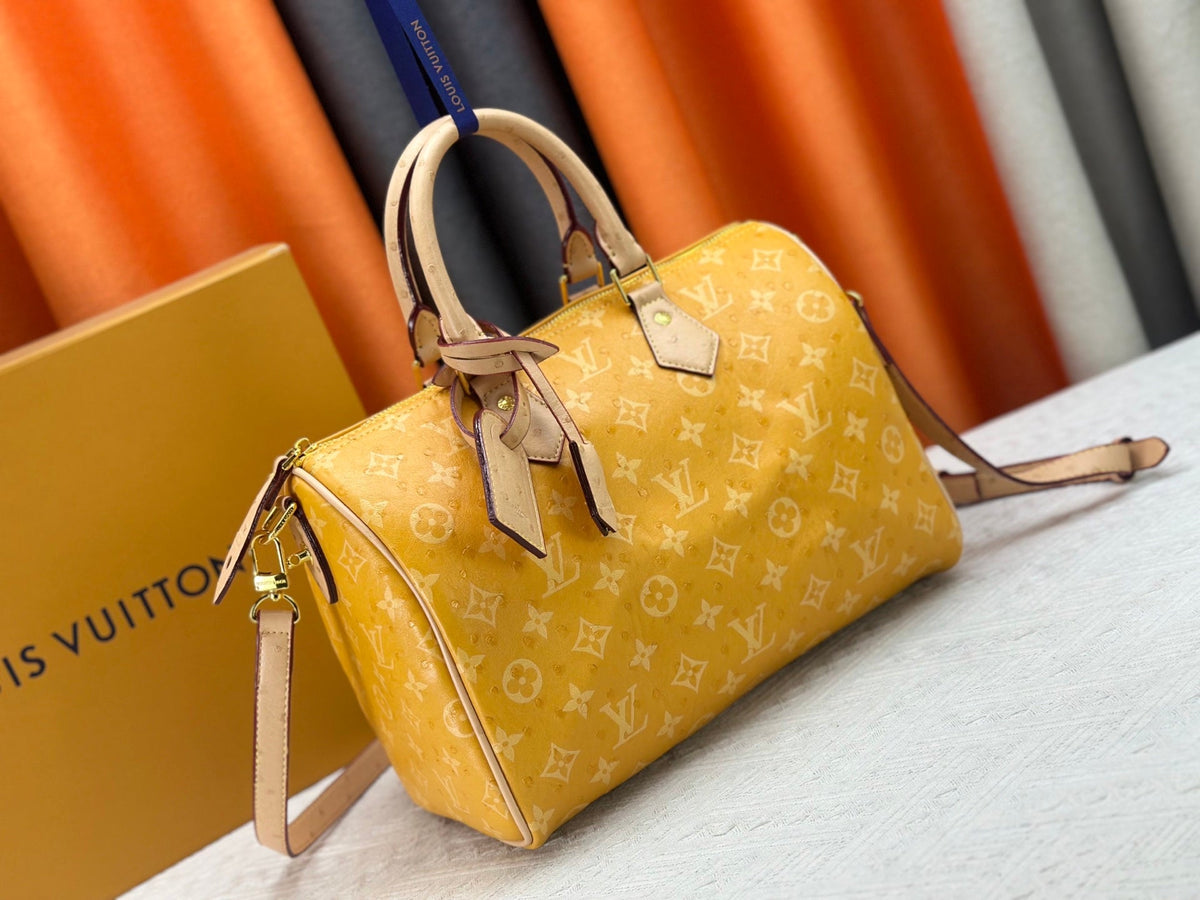 Designer Canvas Crossbody Bag for Women 30x21x17cm LEM289