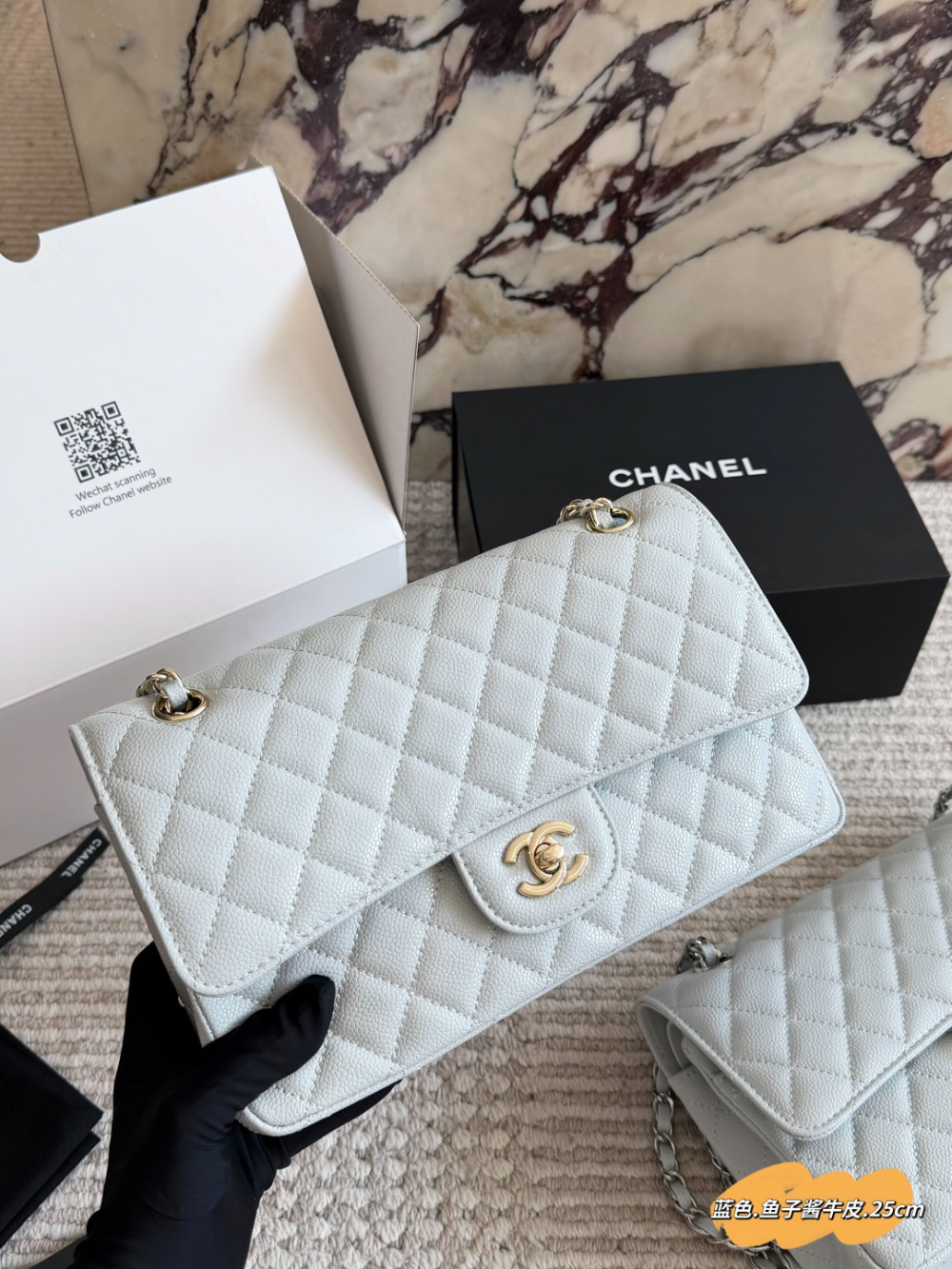 Blue Bag for Women CEM301