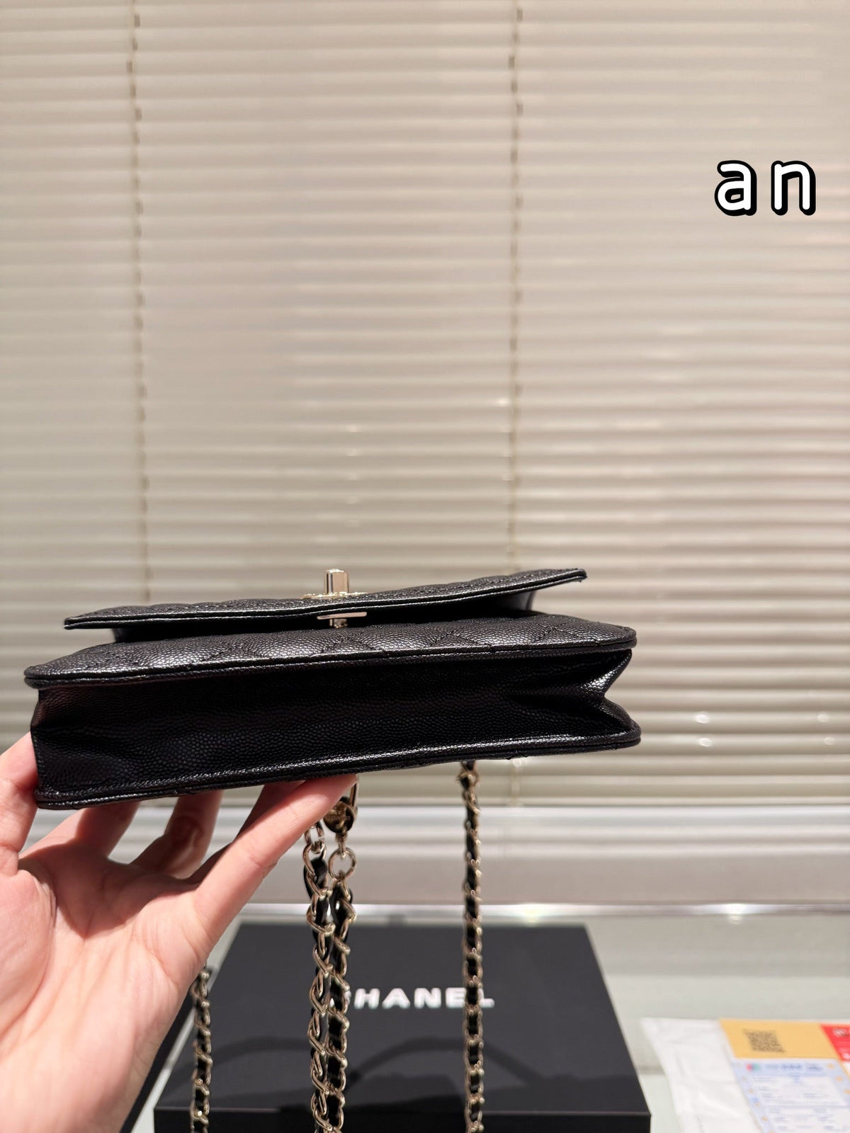 Fashion Bag for Women 21*15cm CEM114