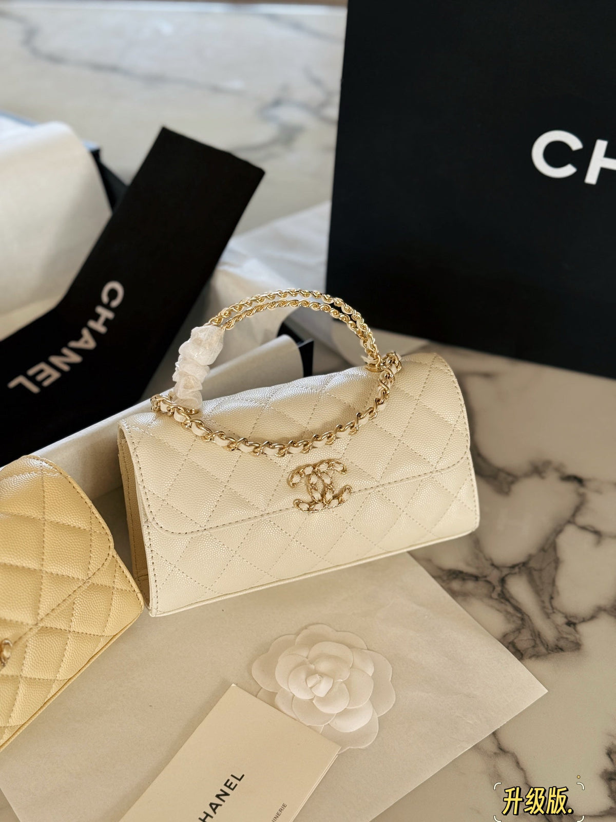 Fashion Bag for Women CEM142