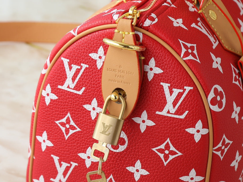 Designer Crossbody Bag for Women 25.0x15.0x15.0cm LEM341