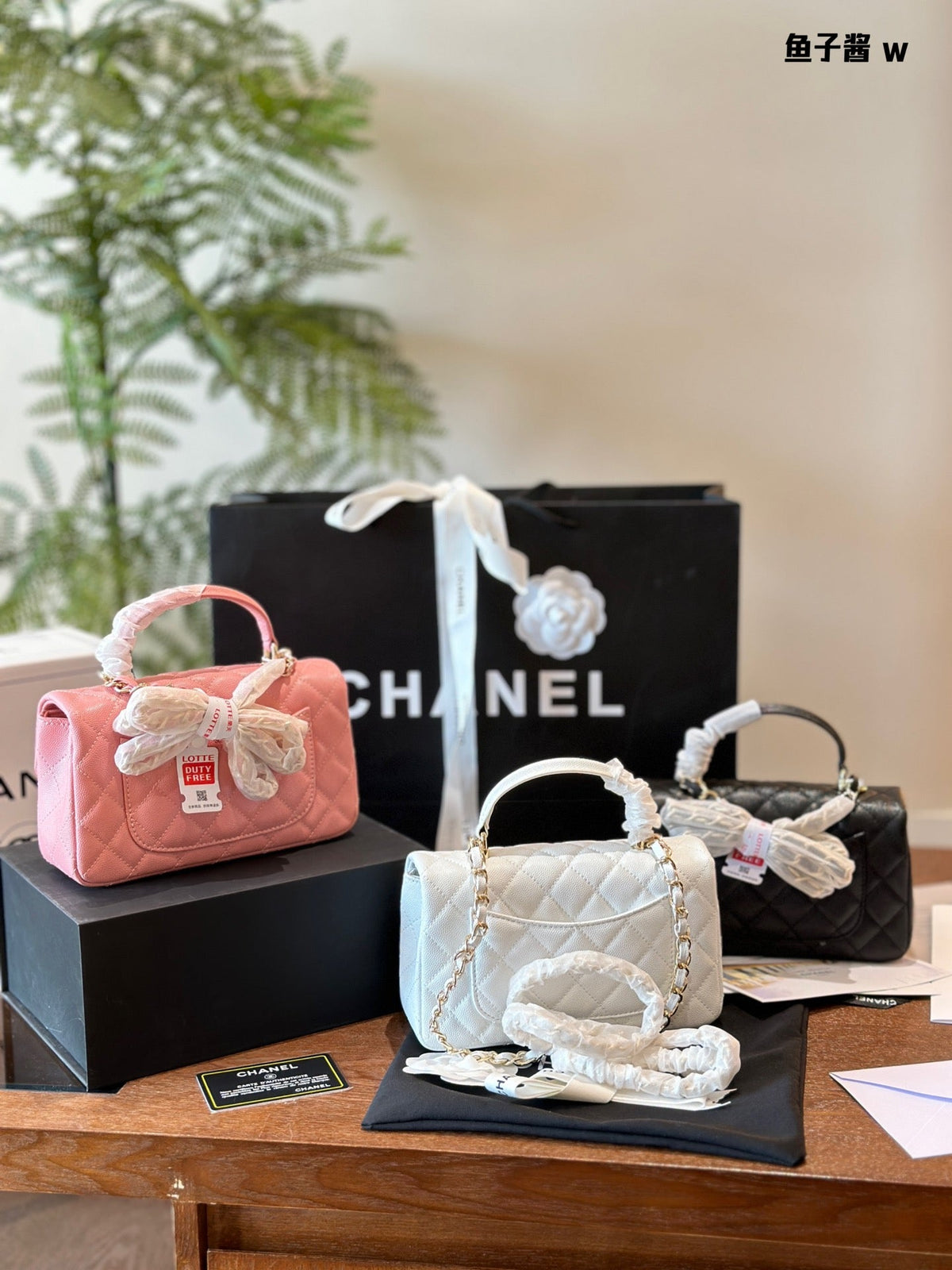 Fashion Bag for Women 20*12*6cm CEM102