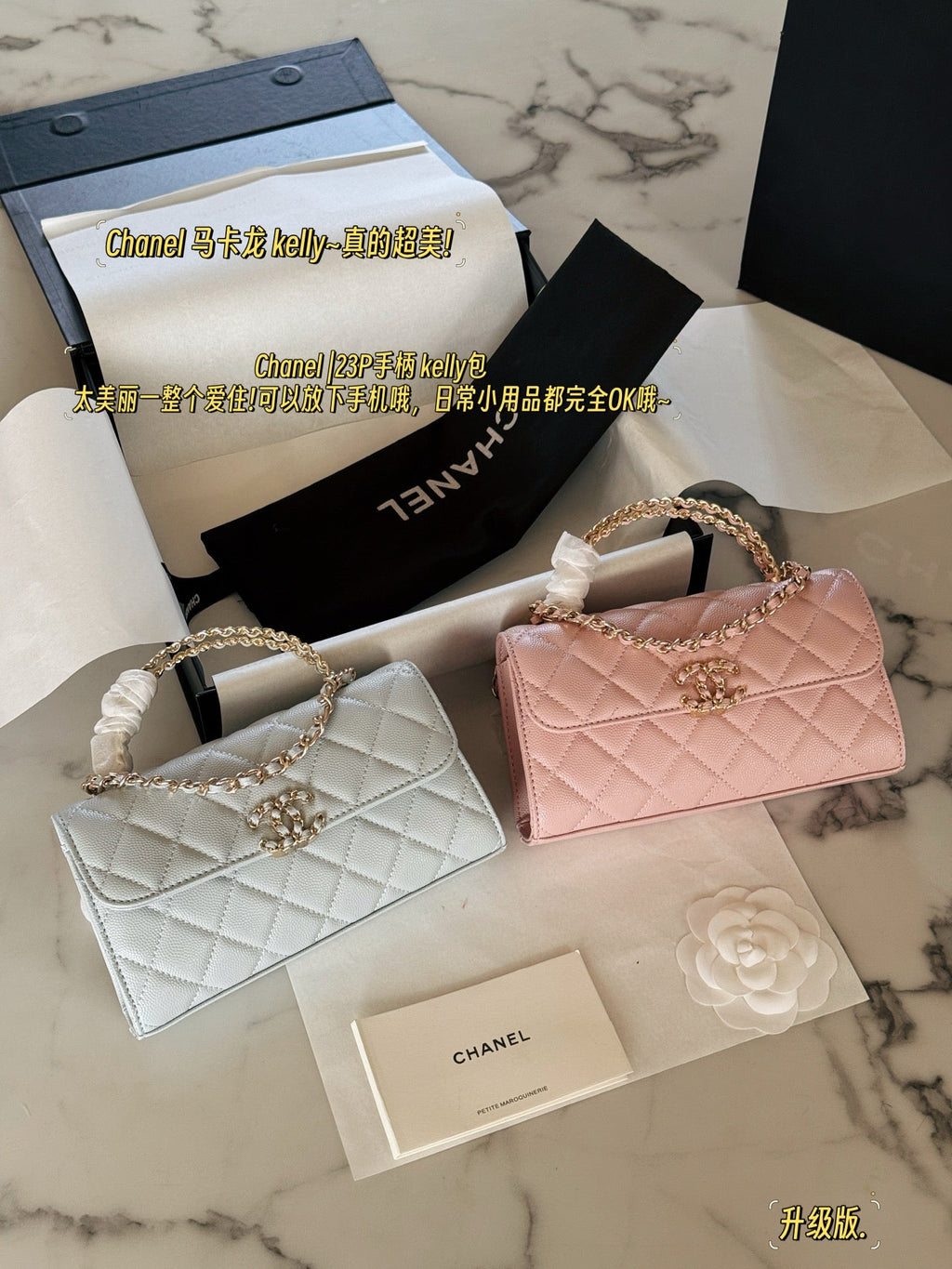 Fashion Bag for Women CEM142