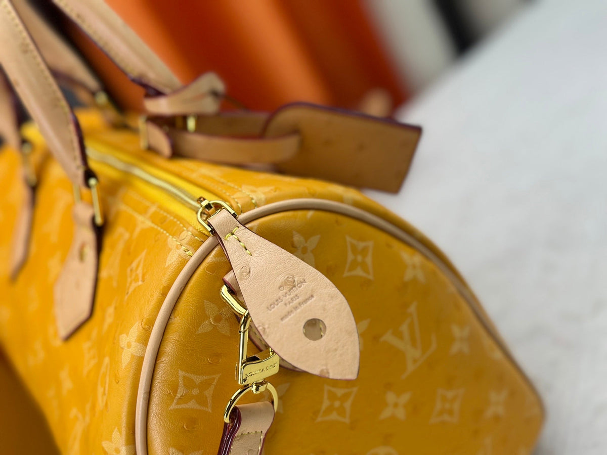Designer Canvas Crossbody Bag for Women 30x21x17cm LEM289