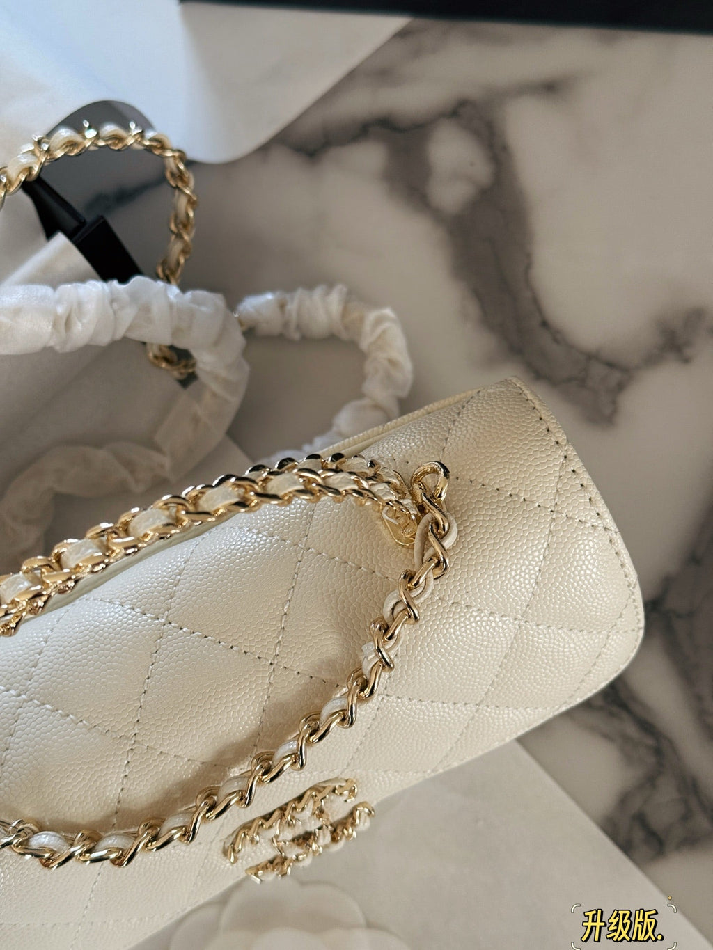Fashion Bag for Women CEM142