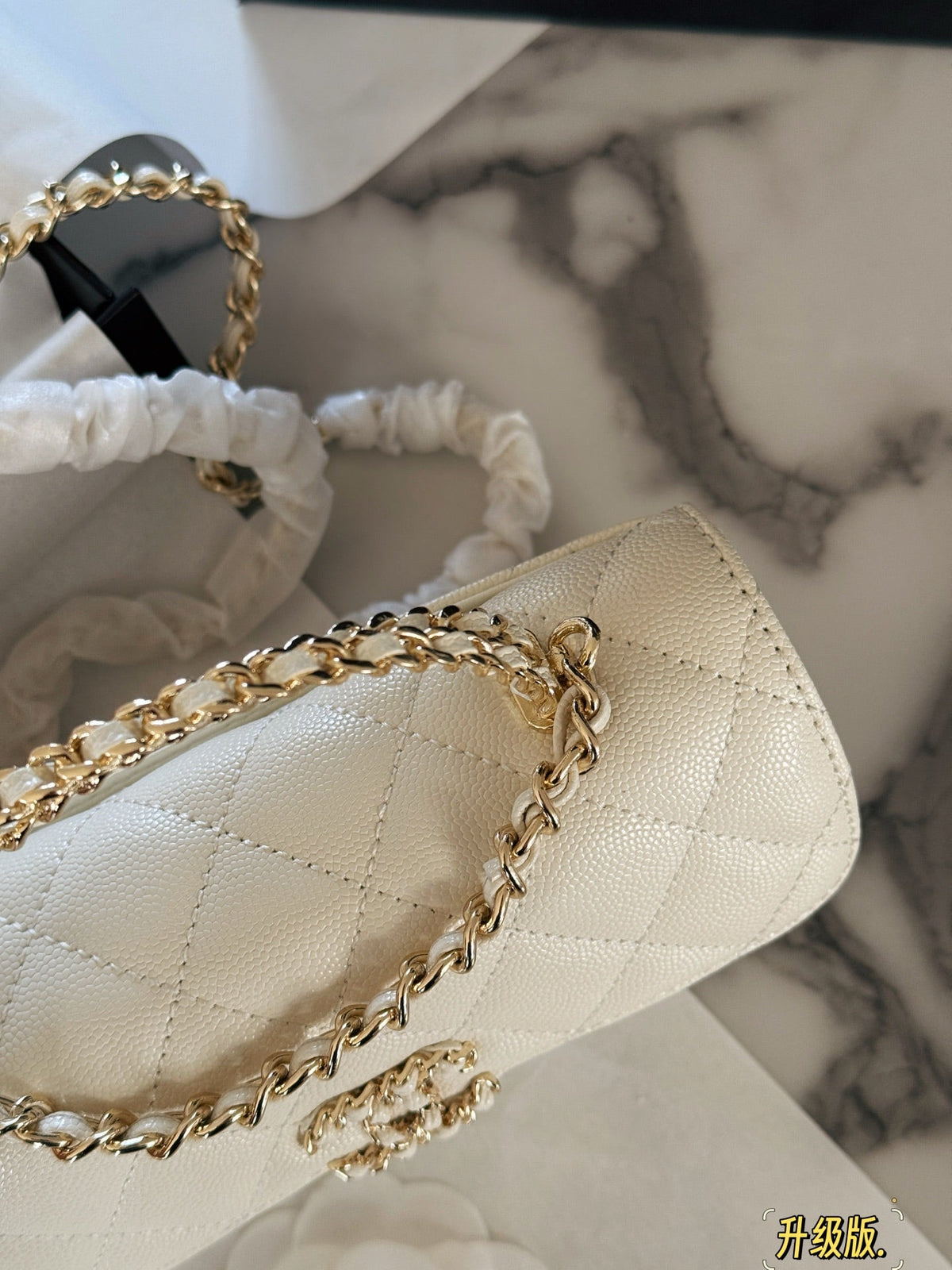 Fashion Bag for Women CEM142