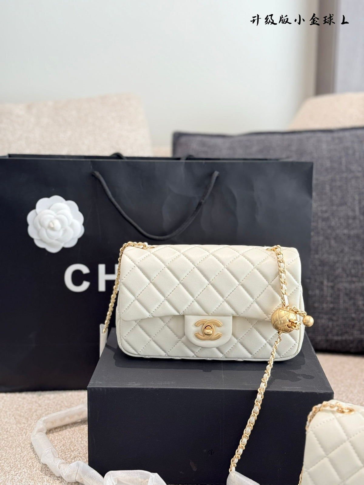 Designer Gold Leather Shoulder Bag for Women 17cm CEM243