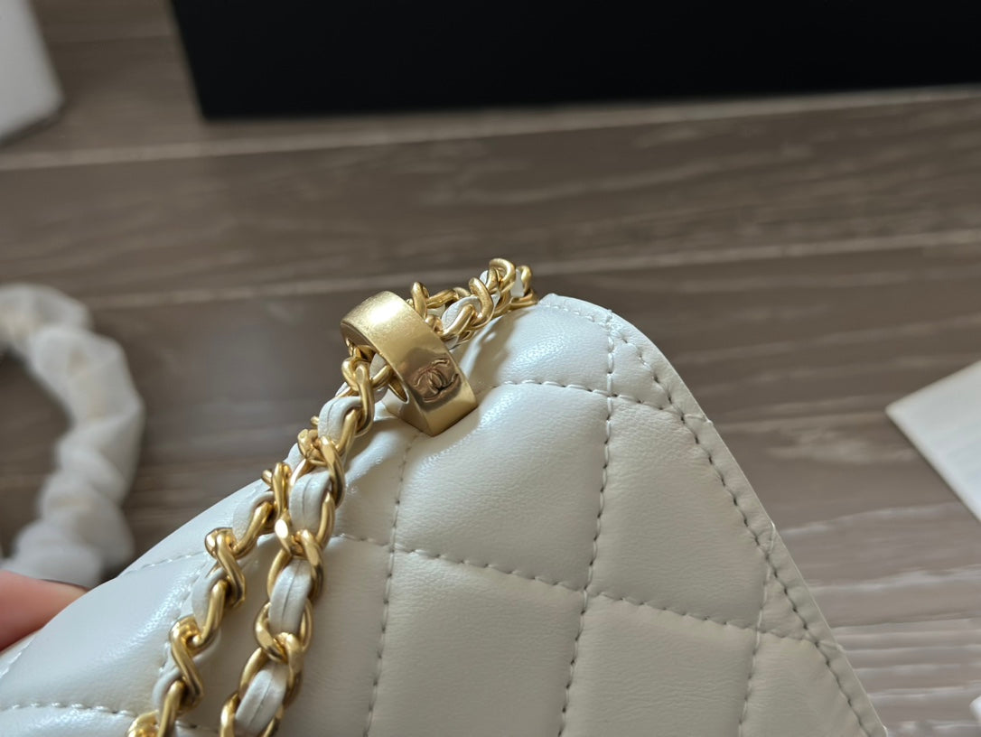 Fashion Bag for Women 19*12cm CEM112