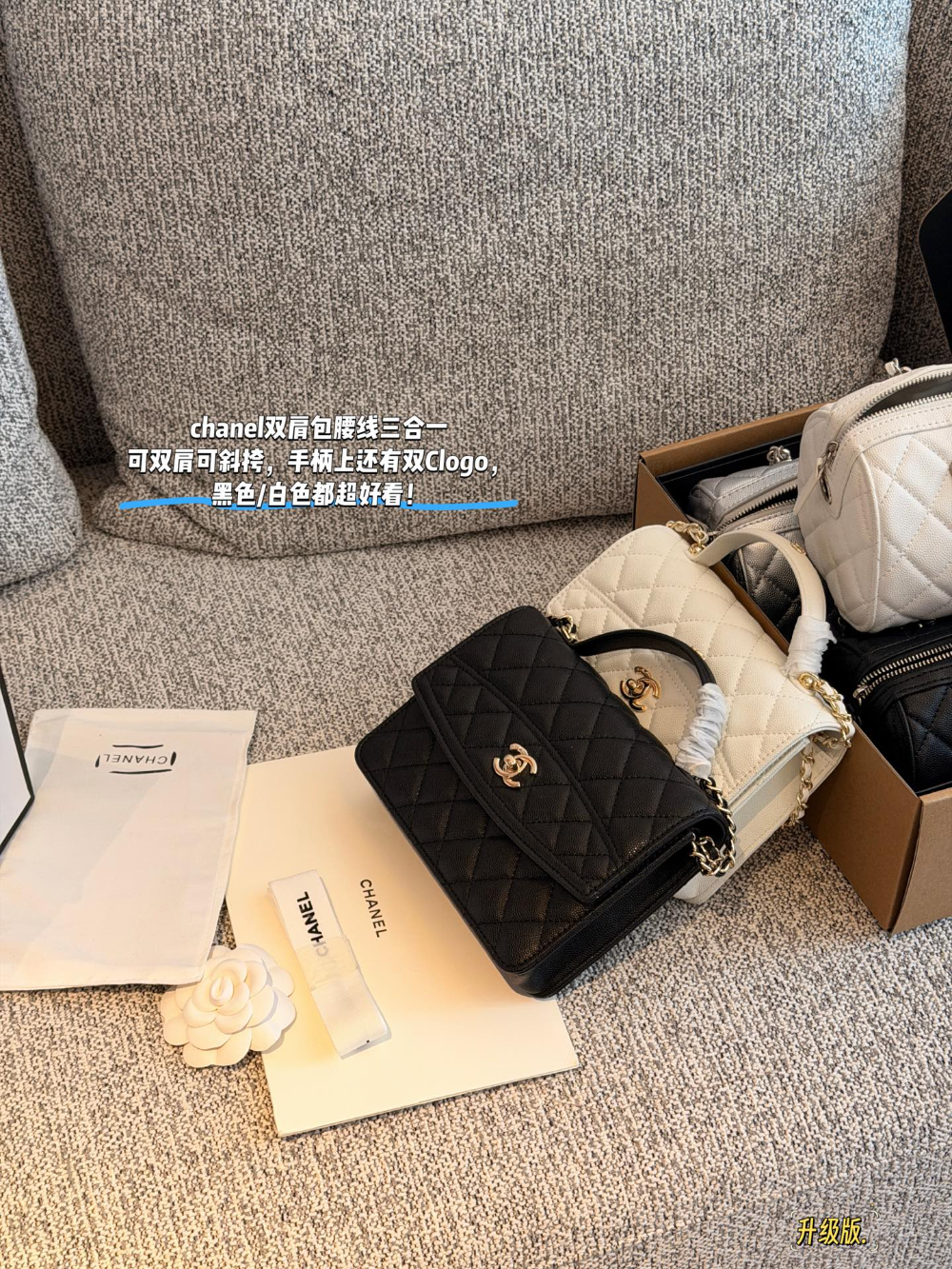 Black/White Handbag for Women 21*15.5cm CEM305