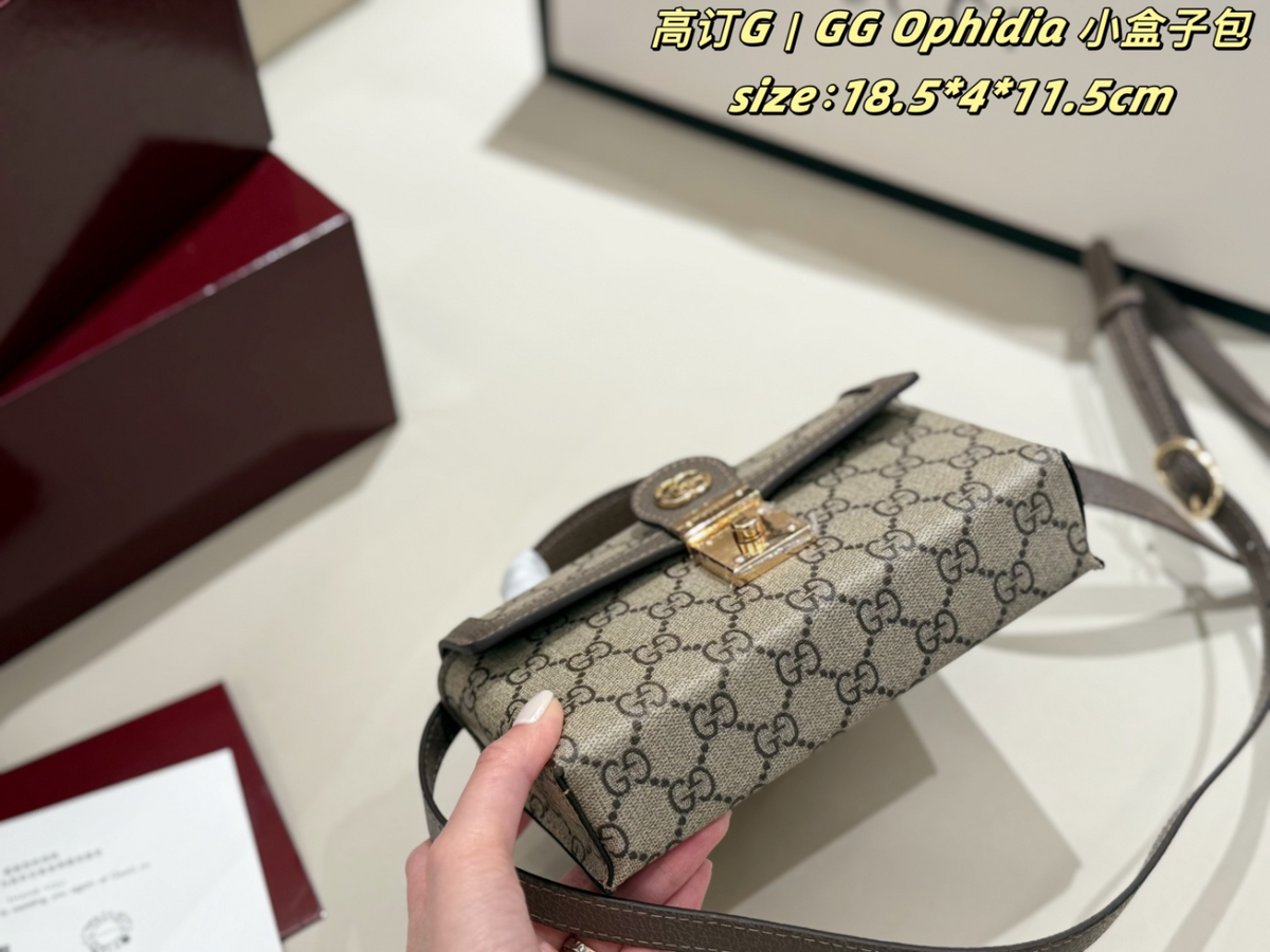 Brown Handbag for Women 18.5*4*11.5cm GEM159
