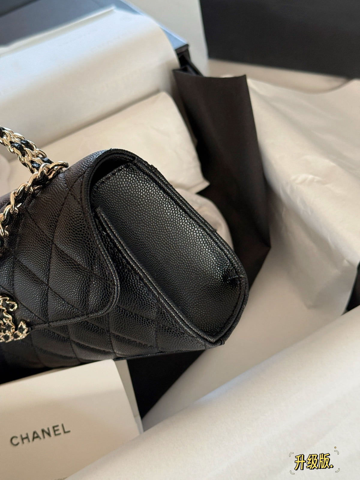 Fashion Bag for Women CEM141