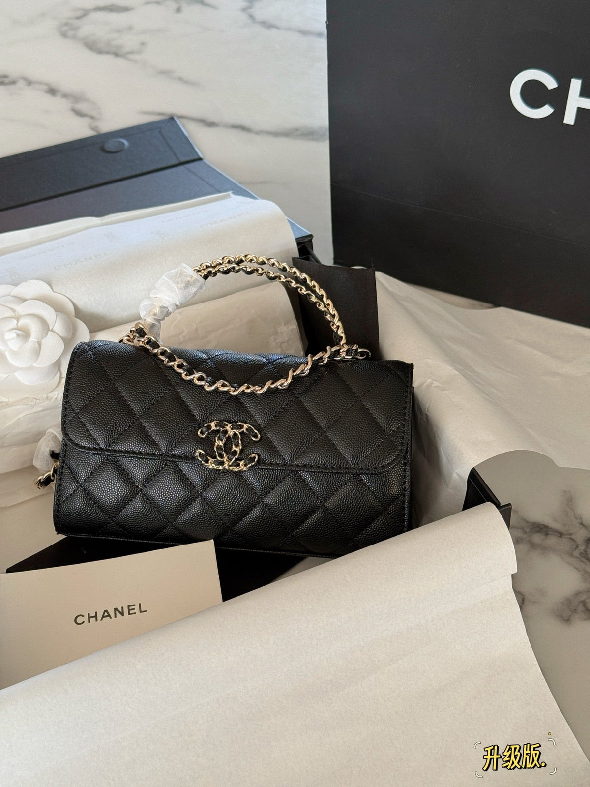 Fashion Bag for Women CEM141