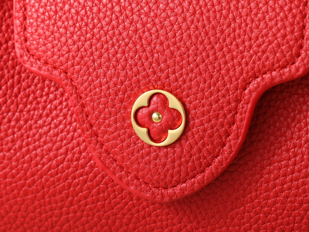 Designer Shoulder Bag for Women 22cm LEM410
