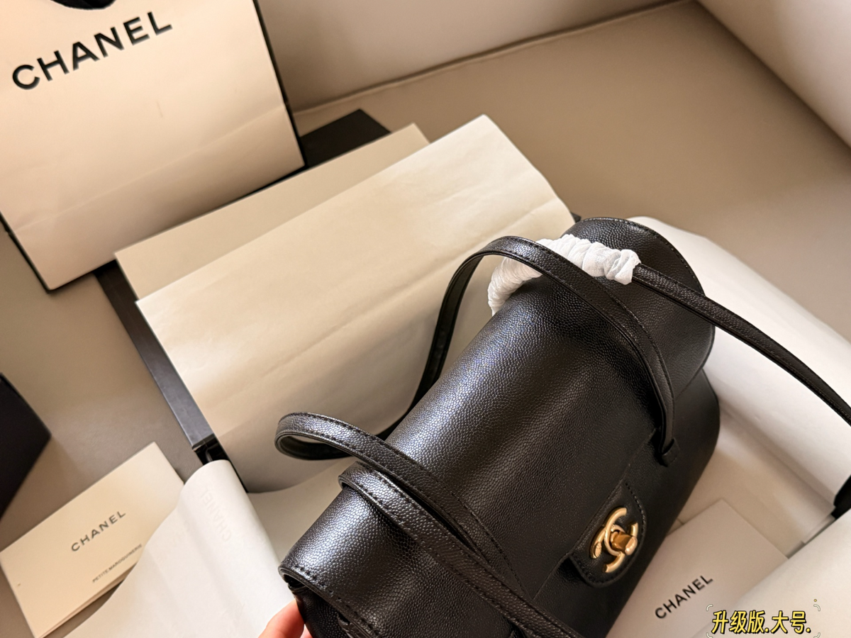 Black Handbag for Women 23*16cm CEM276