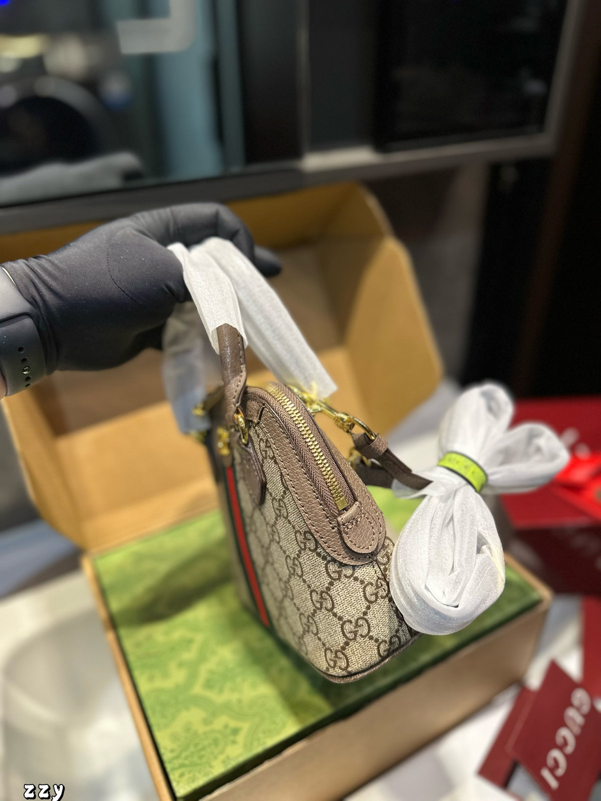 Fashion Bag for Women GEM98