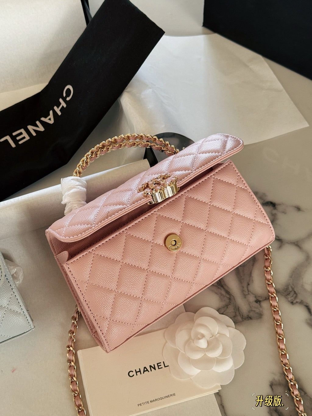 Fashion Bag for Women CEM142