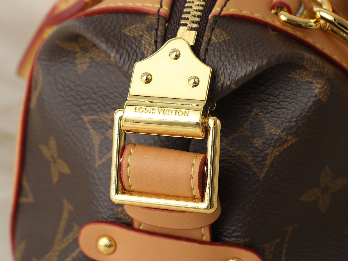 Designer Shoulder Bag for Women 23x10x10cm LEM417