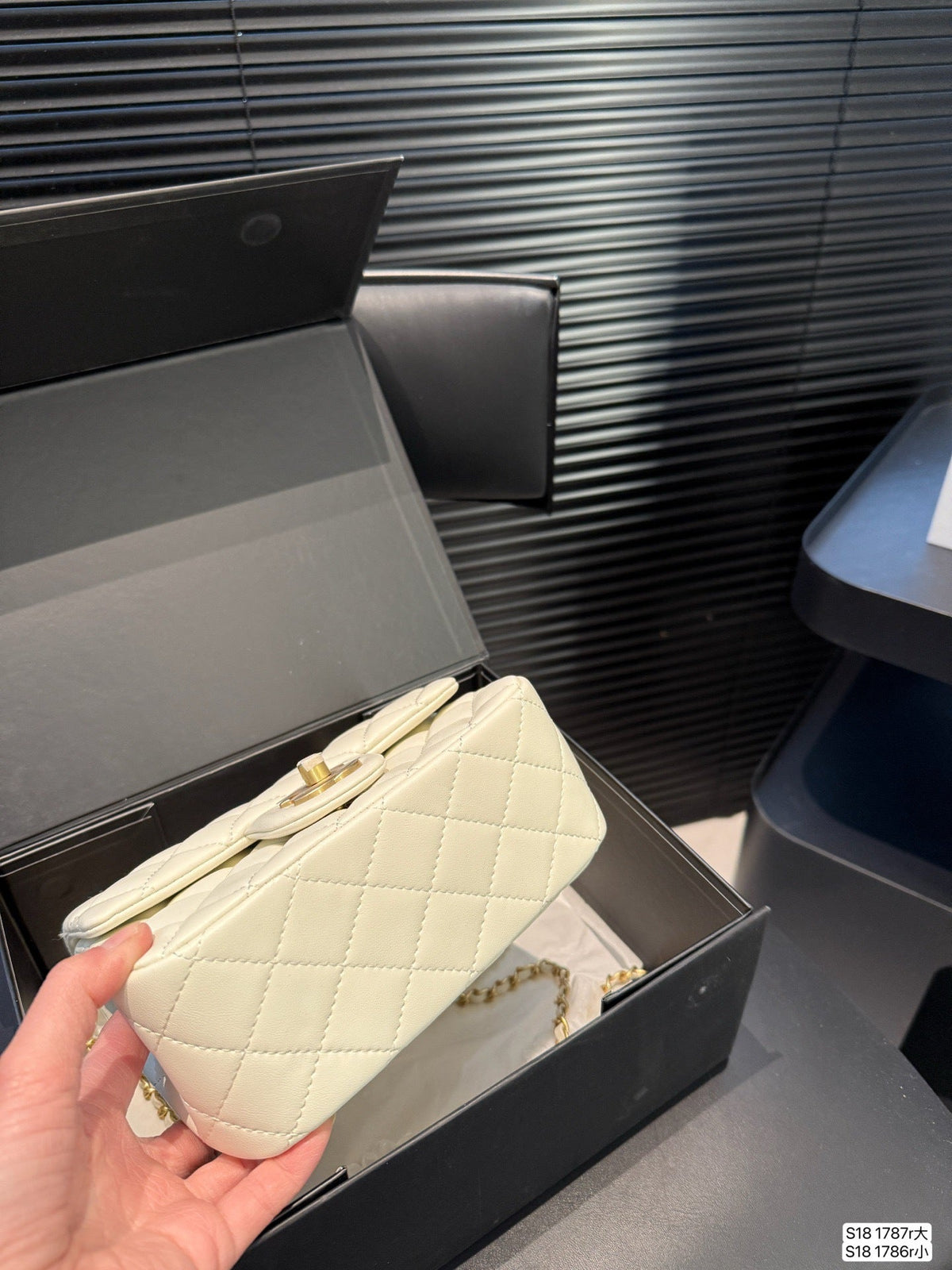 Black/White Bag for Women 20.12cm CEM251