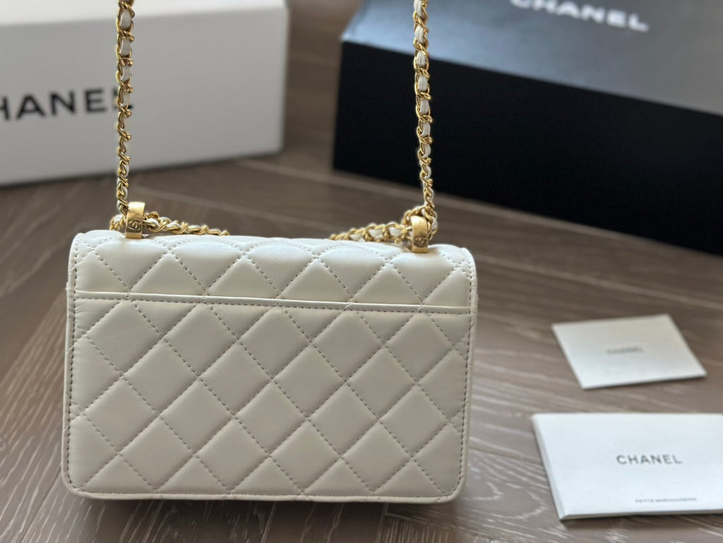Fashion Bag for Women 19*12cm CEM112