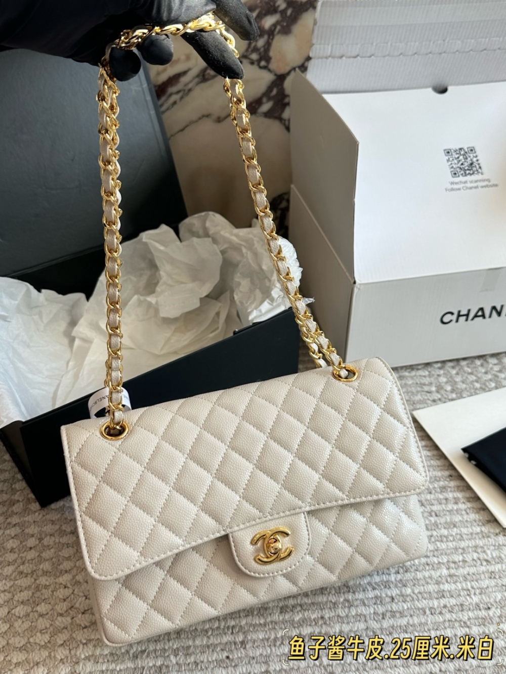 Gold/Silver Bag for Women 25*16cm CEM317