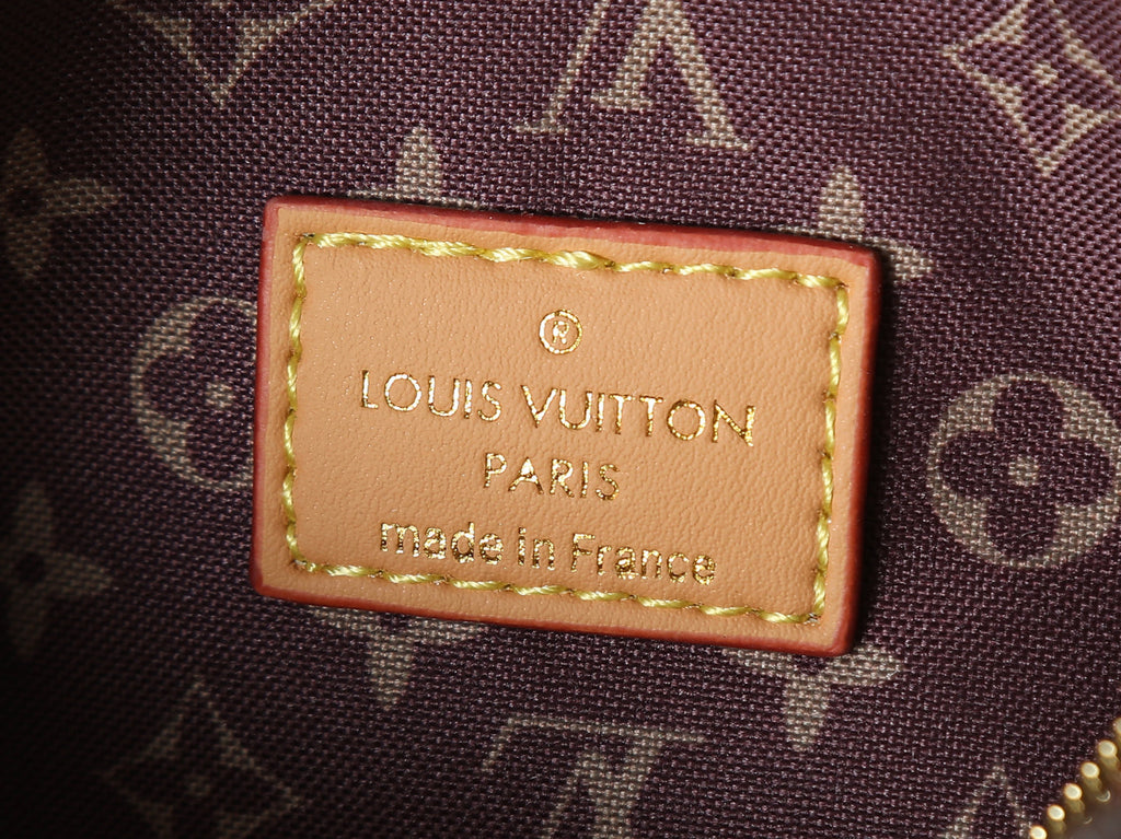 Designer Shoulder Bag for Women 23x10x10cm LEM417