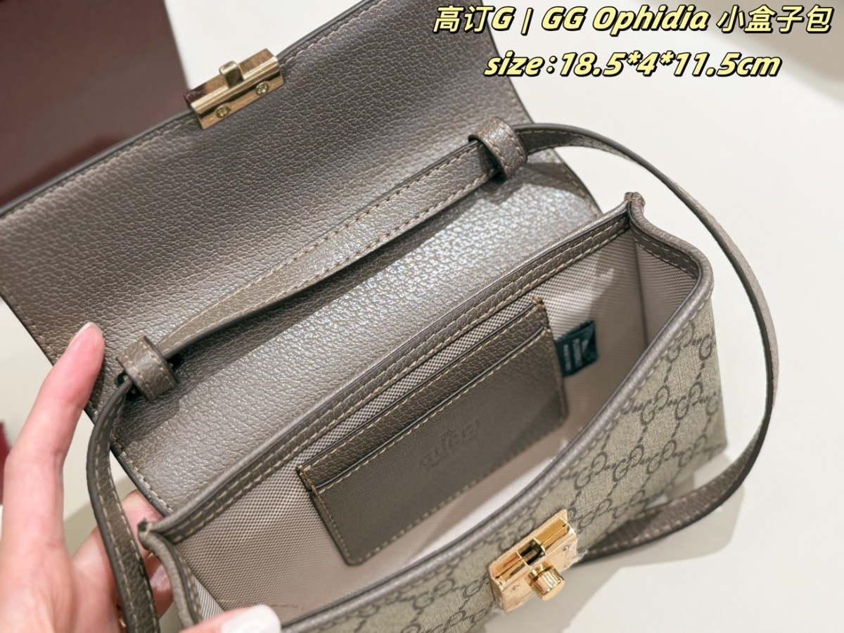 Brown Handbag for Women 18.5*4*11.5cm GEM159
