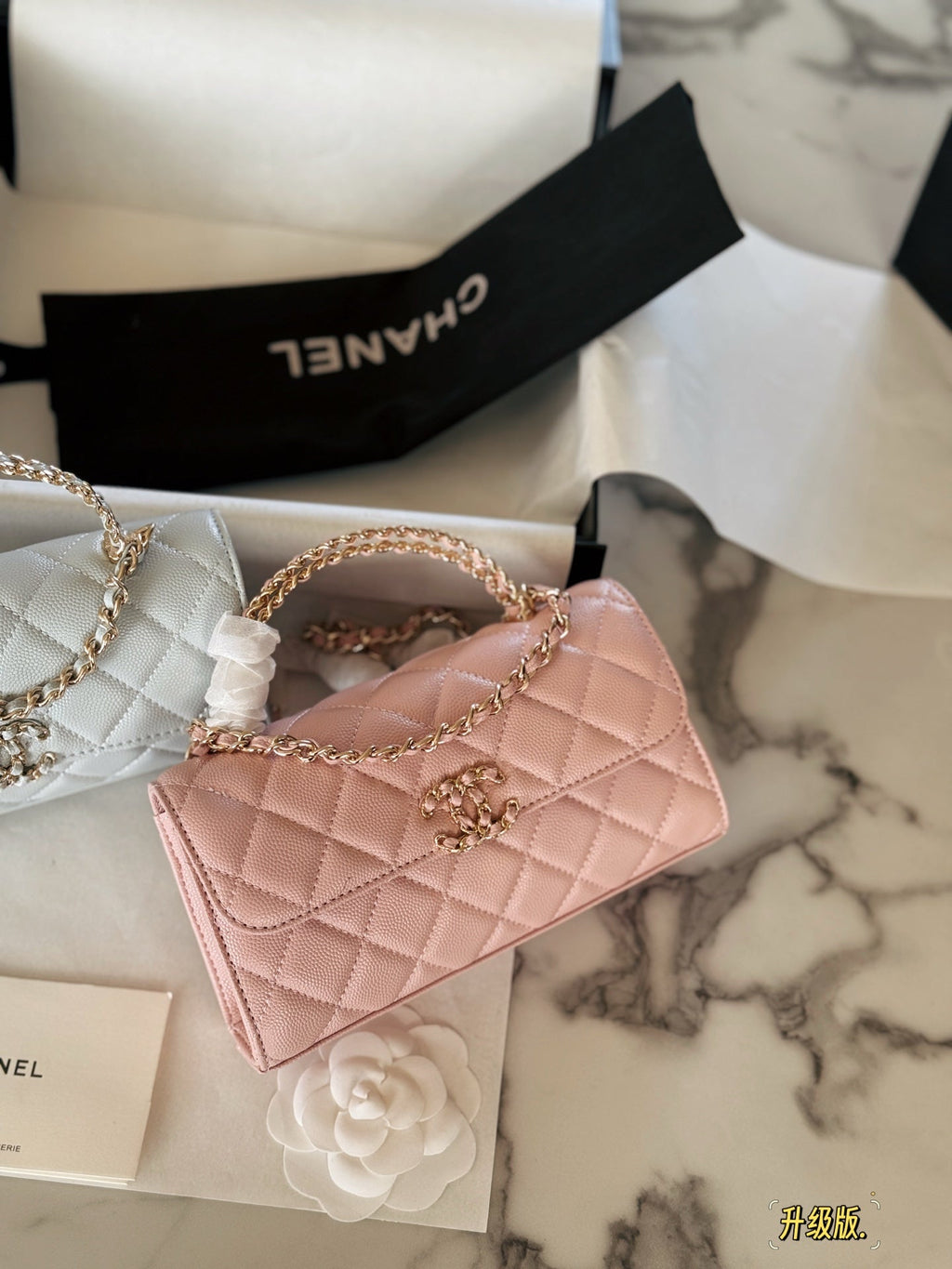 Fashion Bag for Women CEM142