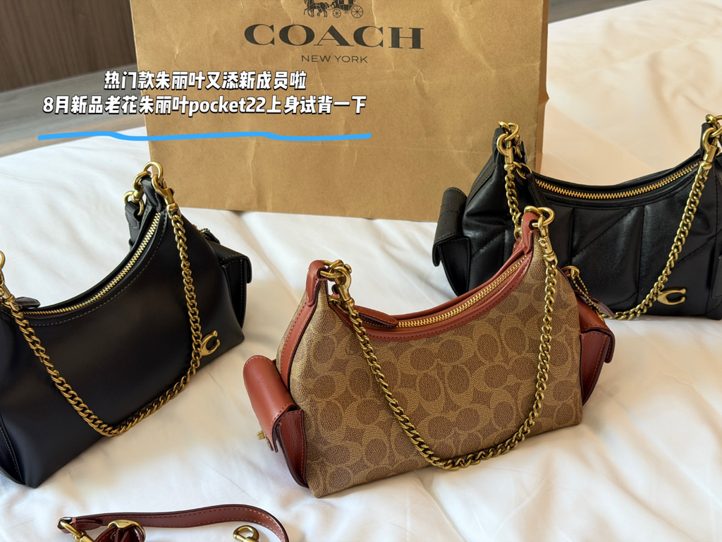 Black/Brown Handbag for Women 22*14cm COEM08