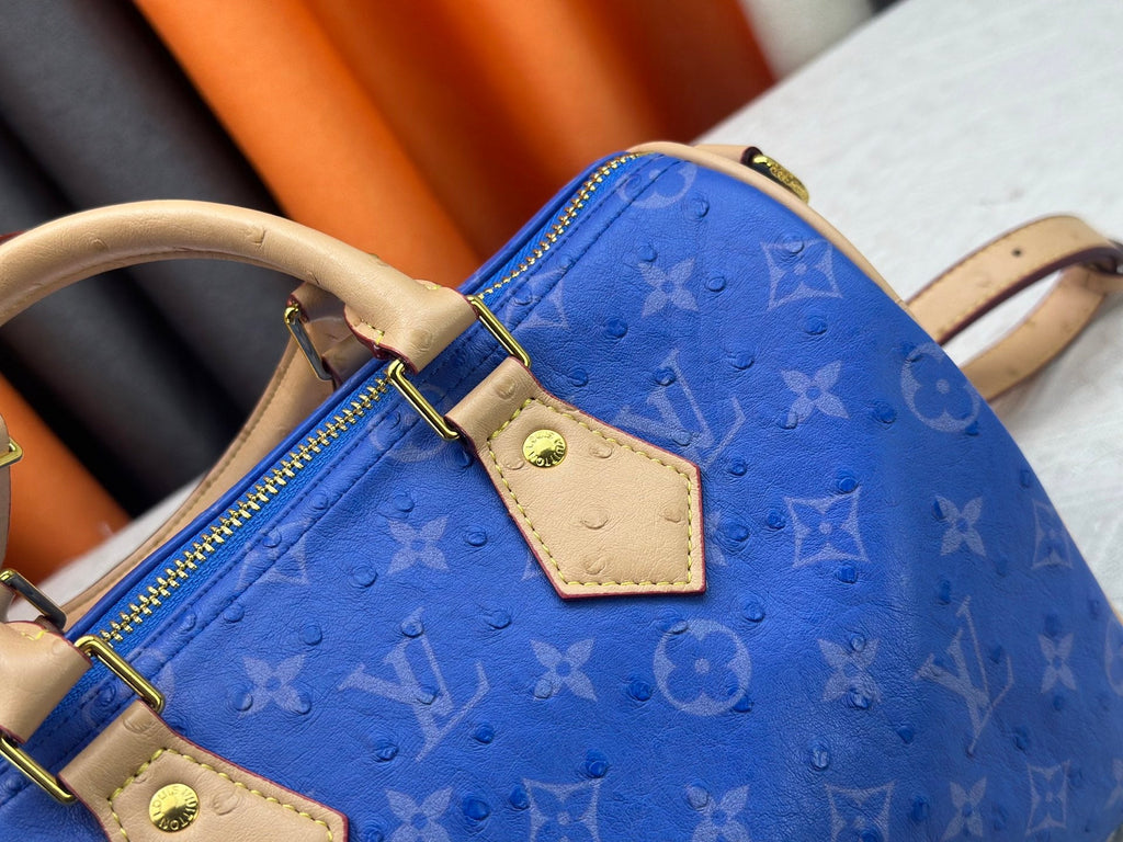 Designer Canvas Crossbody Bag for Women 30x21x17cm LEM289
