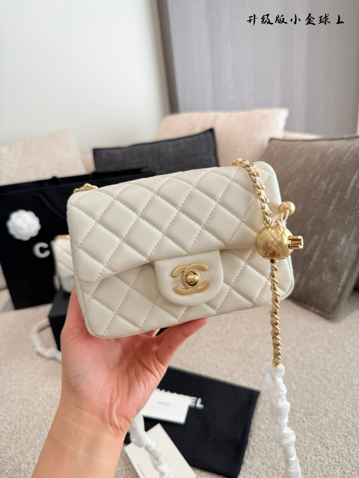 Designer Gold Leather Shoulder Bag for Women 17cm CEM243