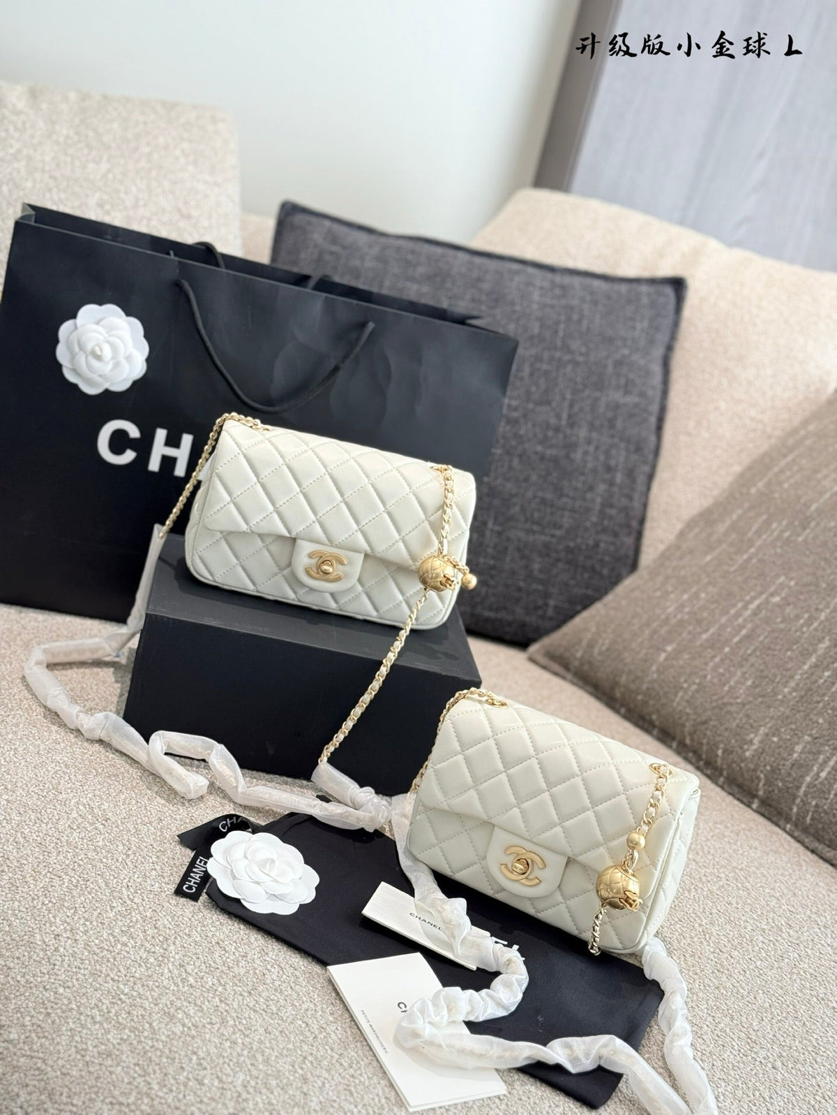 Designer Gold Leather Shoulder Bag for Women 17cm CEM243
