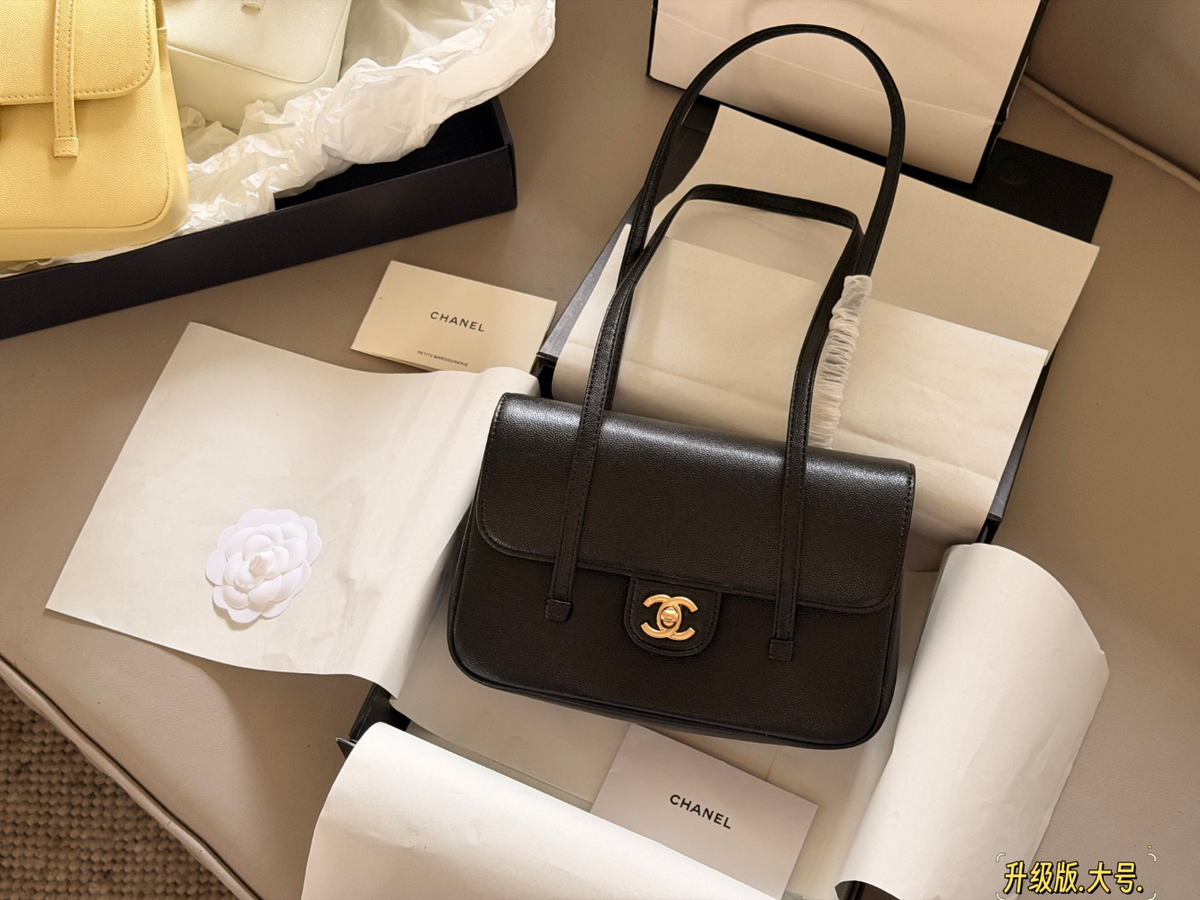 Black Handbag for Women 23*16cm CEM276