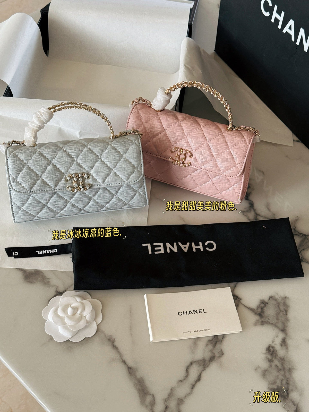 Fashion Bag for Women CEM142