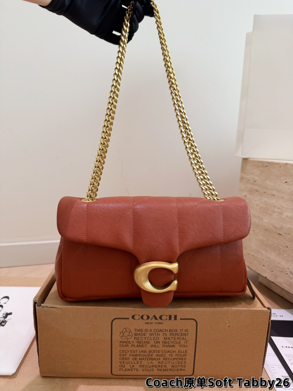 Black/Brown Handbag for Women 26*15cm COEM05