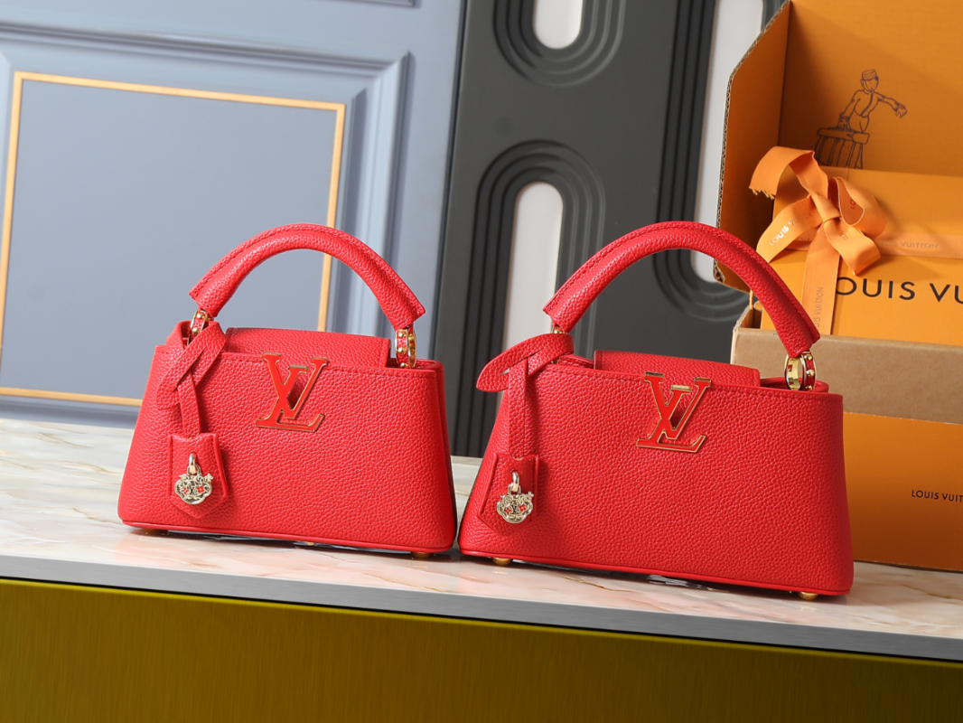 Designer Shoulder Bag for Women 22cm LEM410